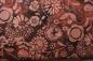 Preview: brauner Batikstoff von Hoffmann, Muster: hellbraune Blumen