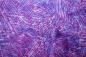 Preview: magenta - flieder-lila Batikstoff von Hoffmann, Muster: Linien