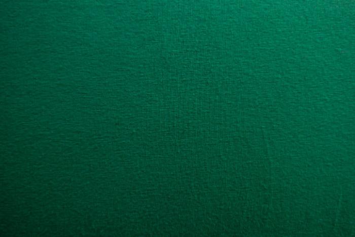 uni Bio-Jersey von lillestoff,GOTS zertifiziert. Farben: grün, Stoffbreite: 150 cm, 95% Baumwolle 5% Elastan